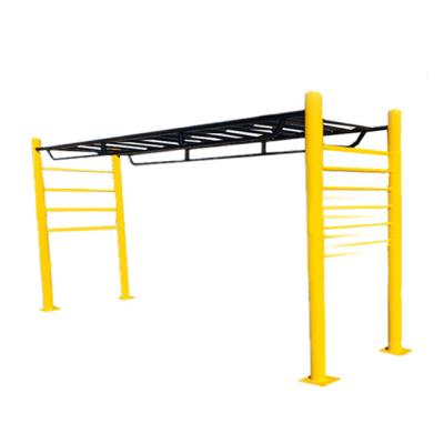 China Exercise Body Gym Exercise Monkey Bar Indoor Outdoor Sports Equipment For Kids Gym Ladder for sale