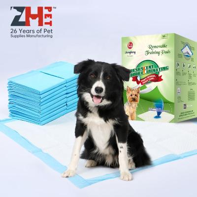 China Various Scent Sustainable Charcoal Disposable Dog Pads Pee Pee Pad Pet Puppy Training For Dog for sale