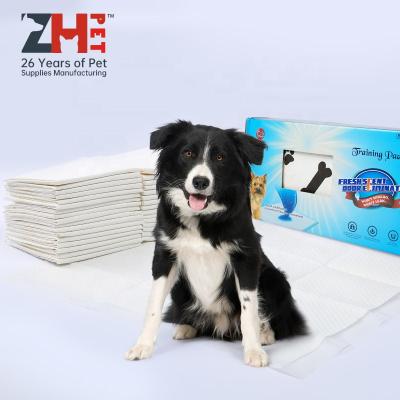 China OEM ODM XL Viable Disposable Small Potty Toilet Dog And Puppy Training Pee Pads for sale