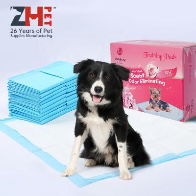 China Wholesale Various Viable Scent Pet Cleaning Daily Necessities Cat Pet Toilet Mat Puppy Pee Training for sale