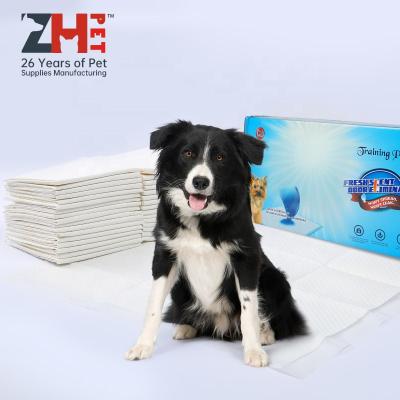 China Durable High Absorbent Dog Training Pad Disposable Dog Pee Pad for sale