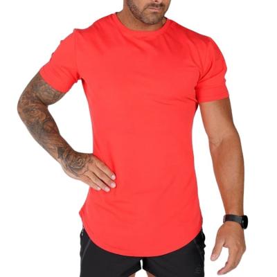 China Wholesale Men's Anti-Pilling Round Edge Curved High Quality Gym Workout T-Shirt In Cotton for sale