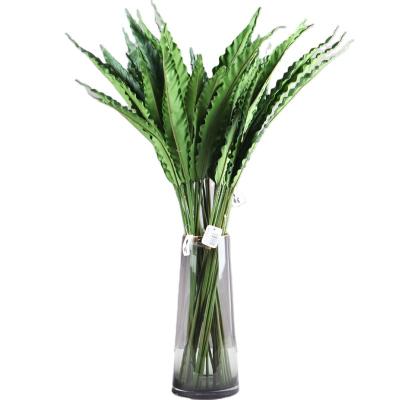 China Sustainable& Eco-friendly& Gift Simulation Plant Artificial Bird's Nest Seasonal Fern Leaves/Accessories Wholesale Potted Decorative Tropical Plants Wall Landscape Decor for sale