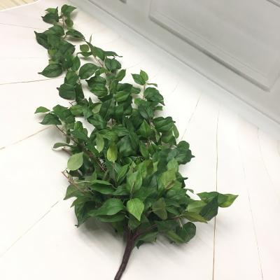 China Sustainable& Eco-friendly& Wholesale Gift/Indoor Creative Simulation Green Simulation Rattan Wall Hanging Artificial Everlasting Green Vine Seasonal Potted Plant Leaves Decoration for sale