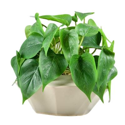 China Sustainable& Eco-friendly& gift/decor wholesale simulation plant decoration seasonal green plant wall photo props home decor artificial calla lily leaves plants unpotted for sale