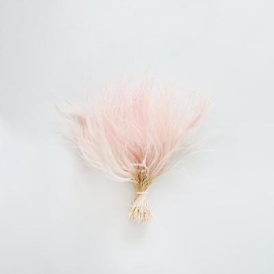 China Fashional Gift/Decor Wholesale Natural Preserved Ins Flower Feathery Stipe Best Decoration For House/Wedding /Garment for sale