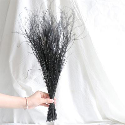 China Fashional gift/decor 2021 most hot preserved colorful preserved feathery flower stipe for wedding/home decoration for sale