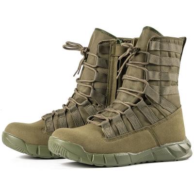 China Jungle Military Tactical Boots Combat Green New Arrival Military Training Brown Lightweight Boots en venta