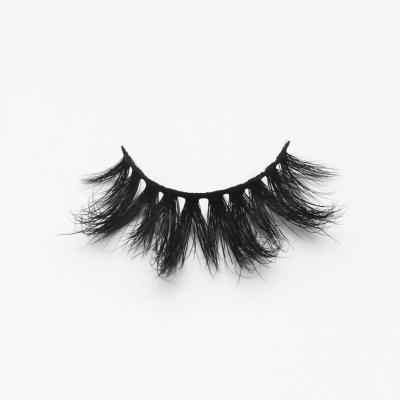 China Belle Lashes Lite Eyelash Extension False Eyelashes For 3 Pairs Cases for sale