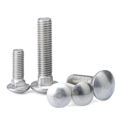 China Stainless Steel M8 Carriage Bolts Round Neck Head Square Bolt for sale