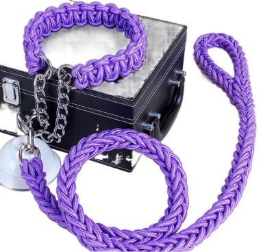 China Custom Outdoor Eight-Strand Braided Punch and Bite Explosion Proof Resistant Nylon Pet Leash for sale