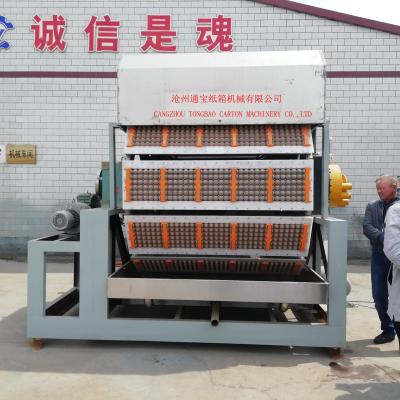 China State-of-the-Art Egg Tray Machine for Sustainable Packaging Solutions for sale