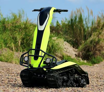 中国 PLAYGROUNDS GAME ZONE ELECTRIC DTV TRACKED SCOOTER TANK ETV SNOWMOBILE ATV 販売のため