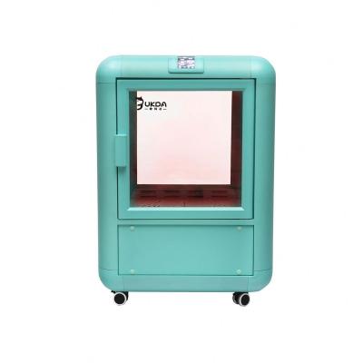 China Pet Viable Efficiency Negative Ion Therapeutic Cat Pet Grooming Dryer Pet Care Room Dryers Room for sale