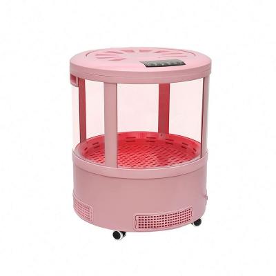 China Viable Pet Grooming Dryer Care Room and Dehumidifier Dual Motor Pet Hair Dryer for Dog Cat Air Dryer Box for sale