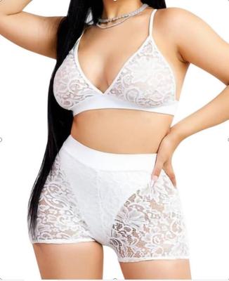 China White 100% Polyester Lace Bra Set Transparent Lingerie Sexy High Quality Lingerie for sale