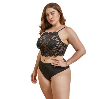 China Viable Romantic Black Sexy Lingerie For Woman Model Plus Size Lady Big Bra Set for sale