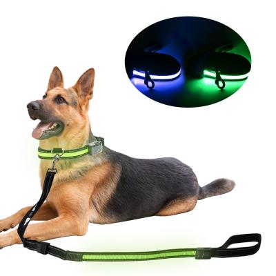 China Lights Waterproof Flashing Solar Battery Charging Rechargeable Night Safety Led Dog Leash for sale