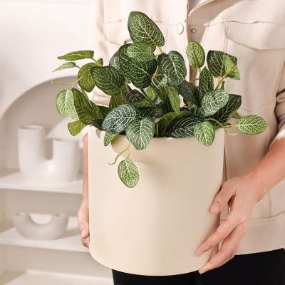 China Europe Modern Indoor Outdoor Decorative Plant Pot Ceramic Cylinder Flower Pots and Planters for sale