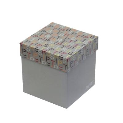 China Factory Wholesale Square Container Tin Gift Box Packaging Metal Tin Box Watch Tea Tin Box for sale