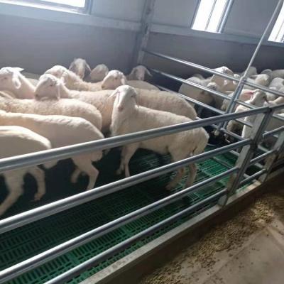 China New farms plastic goat slat flooring 1000*500mm for goat farm laid sheep farm plastic slat flooring for sale