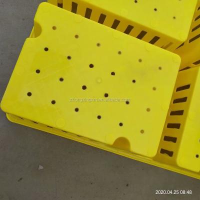 China Baby chick transport 690*495*160mm one day old chick cage raw material pure plastic chick box for sale