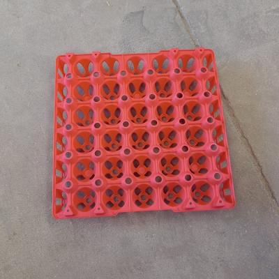 China Grows High Quality Plastic Tray Plant 30 Holes Chicken Egg Tray Plastic Egg Packing Tray for sale