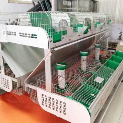 China High Quality Female Cages 24 Cell Birth Rabbit Farm Commercial Rabbit Cage For Breeding Rabbit for sale