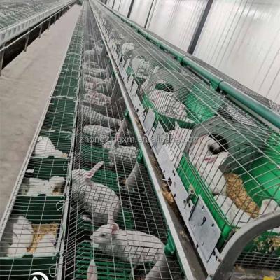 China Farms Rabbit Farming Cage New Design Industrial Rabbit Cage With 18 Positions for sale