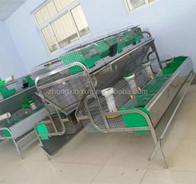 China Breeding Rabbit Rabbit Breeding Cage Rabbit Feeding System for sale