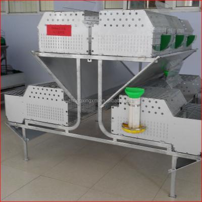 China Rabbit 12 Mother Rabbit Cage, Welded Rabbit Cage, Rabbit Farming Cage for sale