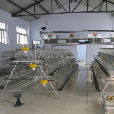 China Farms Poultry Cage With Fully Automatic Feeding System for sale