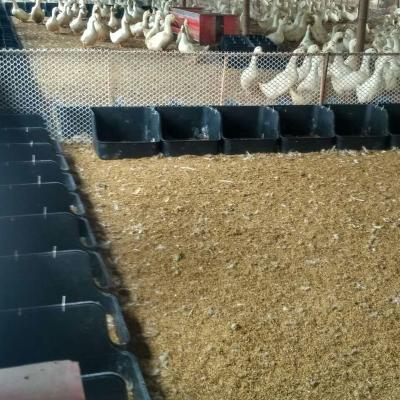 China Breeding farm Zhongxing duck nest box to lay duck eggs black high quality duck nest box for sale for sale