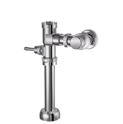 China Modern factory wholesale and retail sell toilet non-automatic delayed flush valve for sale