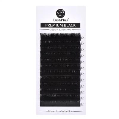 China Natural Long Individual Lashes Extensions Mixed Lengths Synthetic Tray Mink Lashes Extension Individual Seller for sale