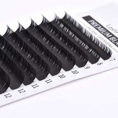 China Private Label Eyelash Extensions Natural Soft Loop Easy Fanning for sale