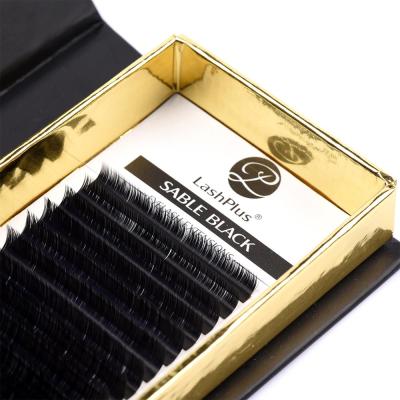 China Long Volume Natural Russian Eyelash Extension Professional Korea Mink Eyelash Extensions 0.04 Eyelash Extensions for sale