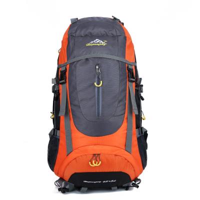 China 65L Travel Multi Purpose Unisex Waterproof Custom Hot Selling Climbing Backpack Large Capacity Hiking Rucksack for sale