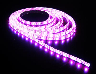 China LED Flexiable Strips SMD5630 IP20 single color DC12V 60pcs one meter for sale