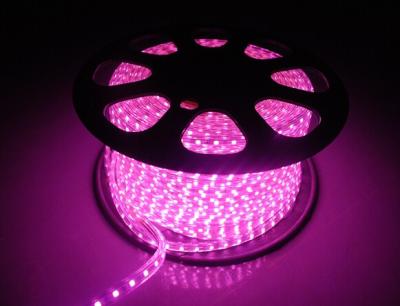 China 220V LED Flexiable Strips SMD5050 RGB multicolor Purple color IP65 high brightness for sale