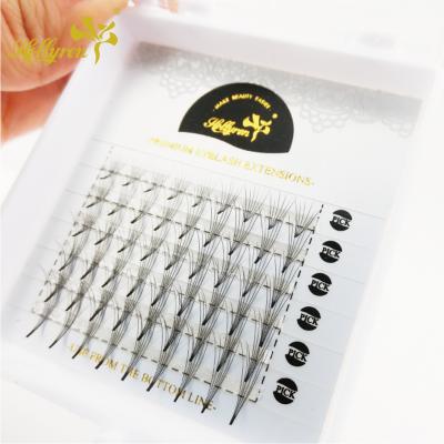 China Volume Eyelash Extension Pre-made Fans Whips Pro Fans Root-strip Stand Wholesale Premium Eyelash Extensions for sale