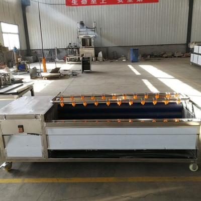 China Automatically Peel Small Type 500 Kg Per Hour Potato Peeling Machine for sale