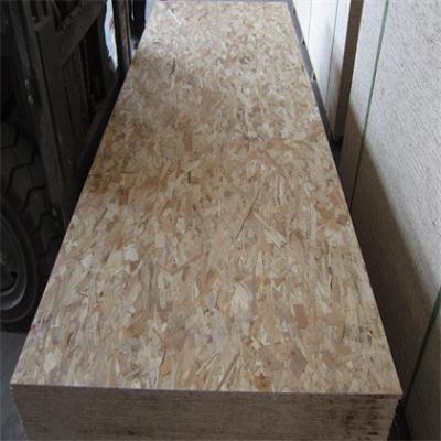 China Modern Osb Oriented Strand Poplar Insulated 12mm 9mm OSB Particle Board for sale