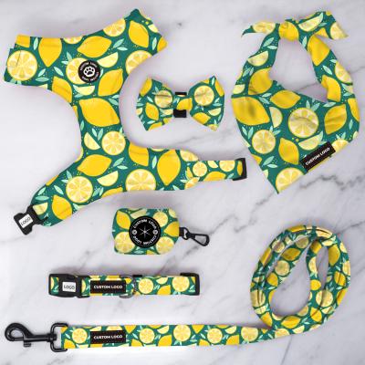 China Durable Neoprene Padding Breathable Mesh Pet Harness Customized Print Design Luxury Dog Harness Set for sale