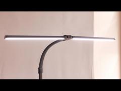 Double head desk lamp