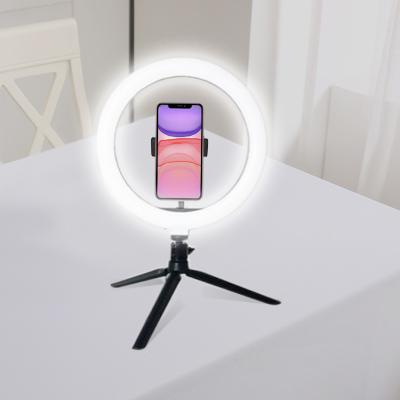 China Hot Selling PORTABLE PORTABLE Usb Powered Table Top Dimmable 10 Inch LED Ring Light For Live Broadcast for sale