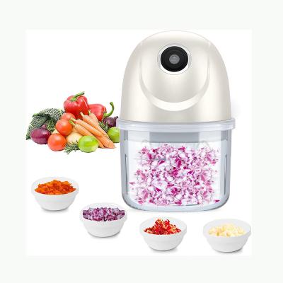 China Sustainable Handheld Vegetable Multi Function USB Meat Slicer Electric Garlic Mini Food Chopper for sale