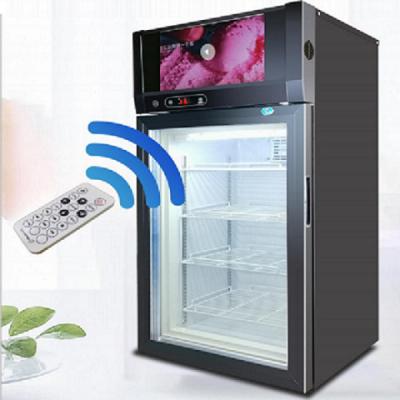 China Single-temperature refrigerator restaurant freezer refrigeration equipment mini fridge refrigerator commercial display refrigerator ice cream for sale