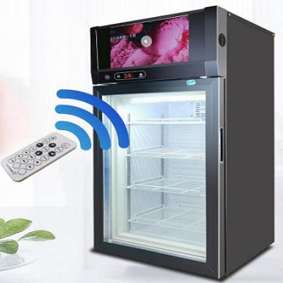 China Single-Temperature Upright Ice Cream Display Freezer Manual Defrost Upright Ultralow Upright Freezer Freezer for sale