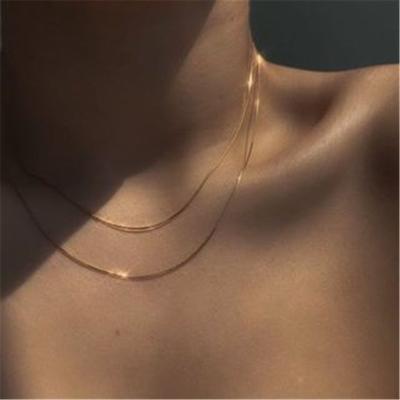 China CLASSIC 18K Gold Plated Stainless Steel Jewelry Wholesale 2 Rows Snake Chain Necklace Trendy Jewelry Streetwear Tasty Necklace for sale